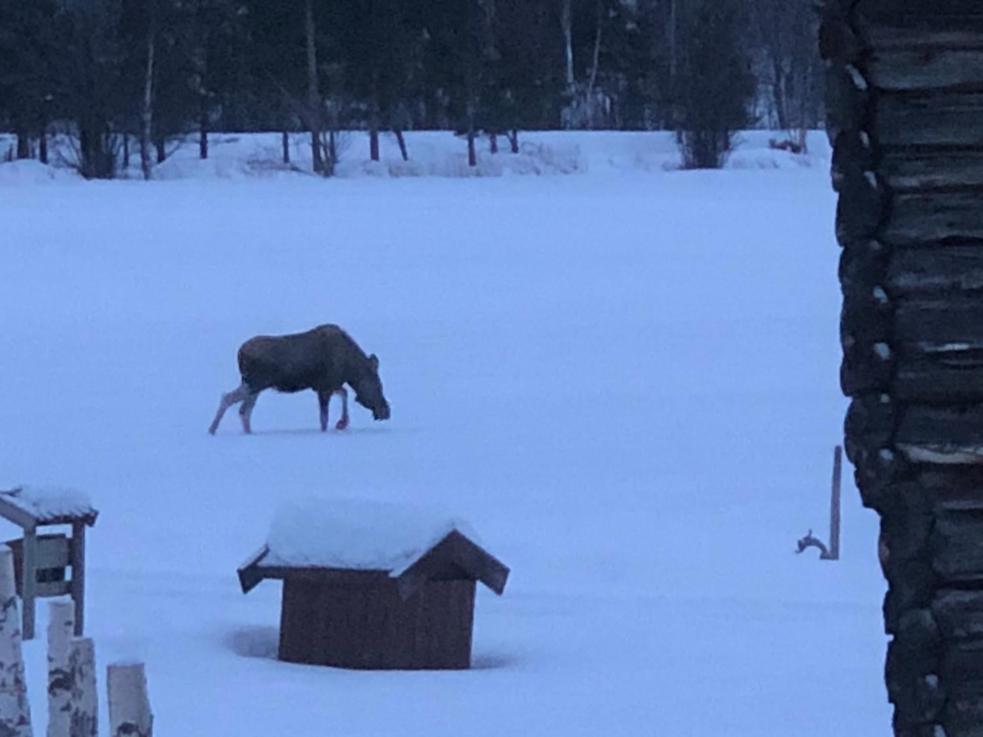 Galde Uppigard Villa Boverdalen Luaran gambar